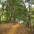 오음공원 이미지