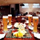 맥스호프 이미지