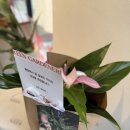 맑은샘약국 이미지