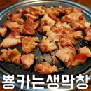 뿅카는생막창오창