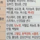 젬마조