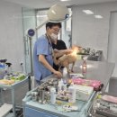 이 가축병원 이미지