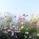 황혼사춘기를 조심하자. 이미지