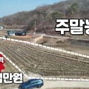 양사면-2 이미지