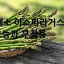 아스파라거스 효능 칼로리 안좋은 점 이미지