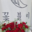제일프라자 | [꽃블리] 시흥정왕점ㅣ조화인 줄 알았네! 생화 컨디션 원탑 시흥꽃집 (ft. 시흥꽃배달)