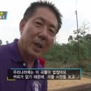 최한용농장 네이버블로그
