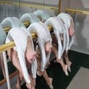 빨래모아 이미지