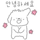 주점31.6