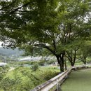 구화산셀프바베큐 이미지