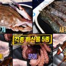 생생조개통 이미지