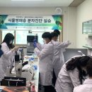 경북대학교 식물방역대학원 이미지