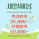 세븐일레븐 영종스카이프라자 | 💇‍♀️영종 하늘도시 미용실 추천! [살롱에이] 머리맛집 + 내돈내산💈