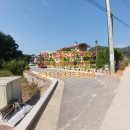 여주-1002 이미지