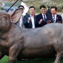 제주흑돼지 이미지