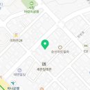 덴트베스트칼라