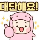 풍년압력솥서비스 이미지