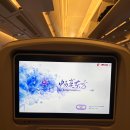 동방부분정비 | [2025 나홀로 아프리카🇪🇬] #2 카이로 공항 도착비자, 뽀미하우스, 현지식 맛집 (2일차_1)