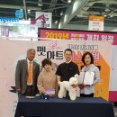 아트펫 이미지