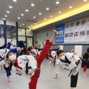 단국대 엘리트 태권도장 이미지