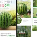 수디크 이미지
