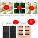 루바마