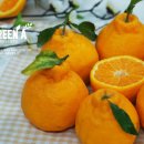 영농조합법인 그린제주 이미지