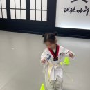 용인대해오름태권도장 이미지