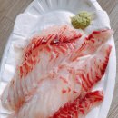 선재낚시공원 이미지