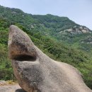 영동계산우체국 이미지