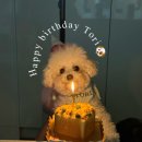 중성동102 이미지