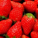 오아시스헬스 이미지