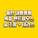 동탄능동역공인중개사사무소 | 동탄 능동역 리체더포레스트 199㎡ 펜트하우스, 부모님과 함께 살기 좋은 복층 테라스 대형 평형