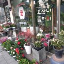 호산나플라워 - 송파구 새말로17길 15 | 호산나플라워