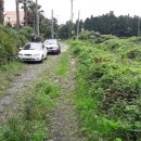 강정동-34 이미지