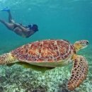 호텔발리3 이미지