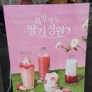 셀렉토커피방학역점