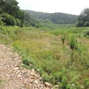 율어면사무소 이미지