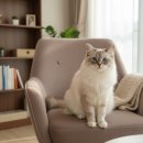 안산덴탈 이미지