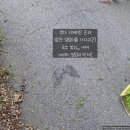 푸른뜰독채펜션 이미지