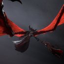 주식회사 닥터라곰 이미지