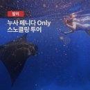 플랜베이 | 발리 스노클링 투어 추천! 누사페니다 만타가오리 크리스탈베이 보트투어 후기