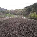 대영떡집 이미지