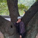 오혜숙 생활단식 젊은지사 이미지