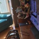 예스정형외과의원 이미지