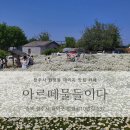 물들이다 - 안산시 상록구 장화로 22 | 물들이다