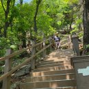 수원-1147 | 수리산 (무성봉 슬기봉 태을봉 관모봉)
