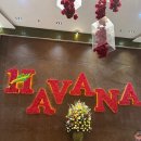 경호목장 | 나트랑호텔] 나트랑시내 하바나 5성급 호텔 내돈내산후기 (주니어 스위트 트윈룸 오션뷰객실,루프탑...