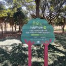 IUCN 나눔의 숲 이미지