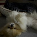 헬로우나니